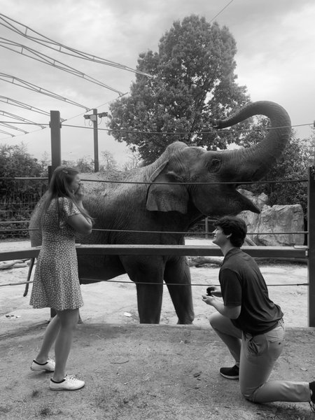 Carly Rohrer and J. Nicholas Rohrer's Wedding Website