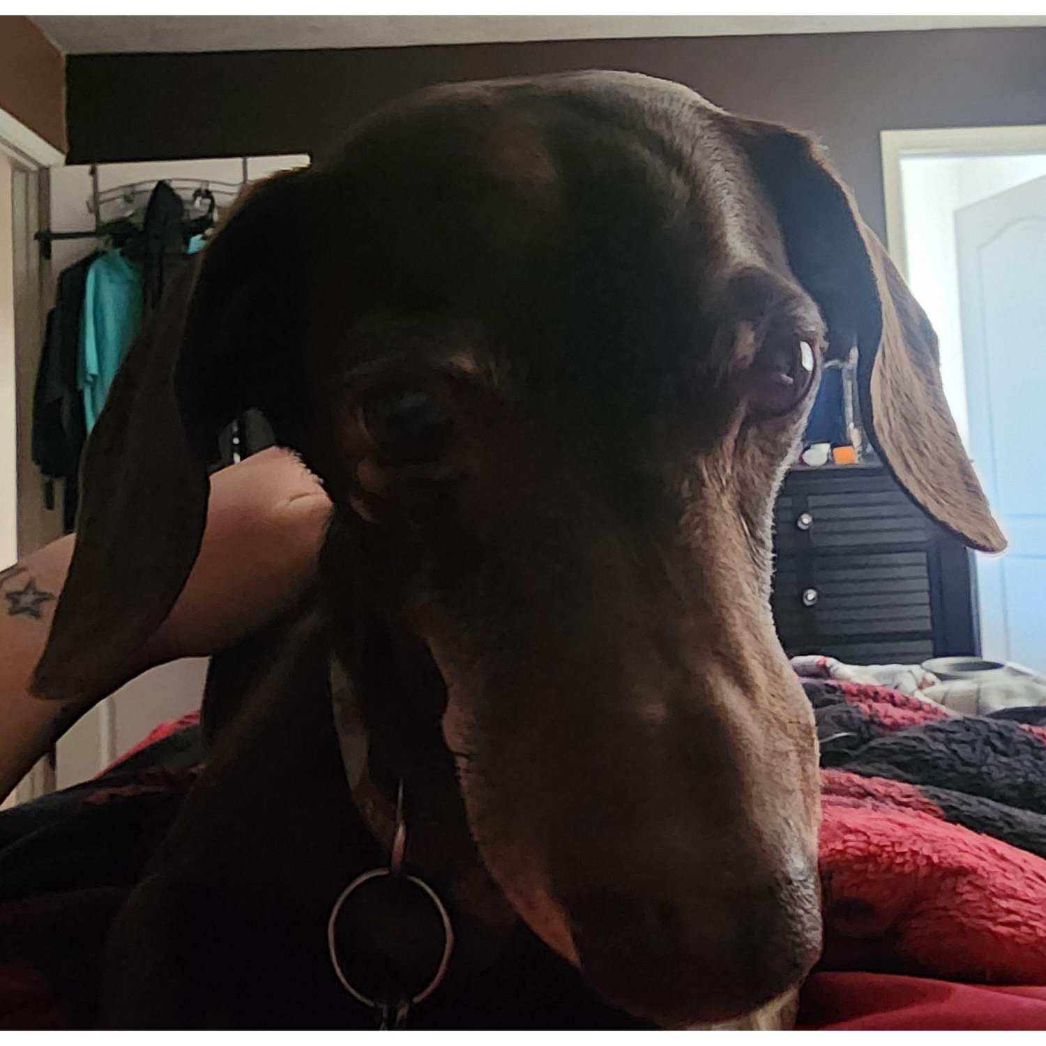 Rerun is ready for his close-up