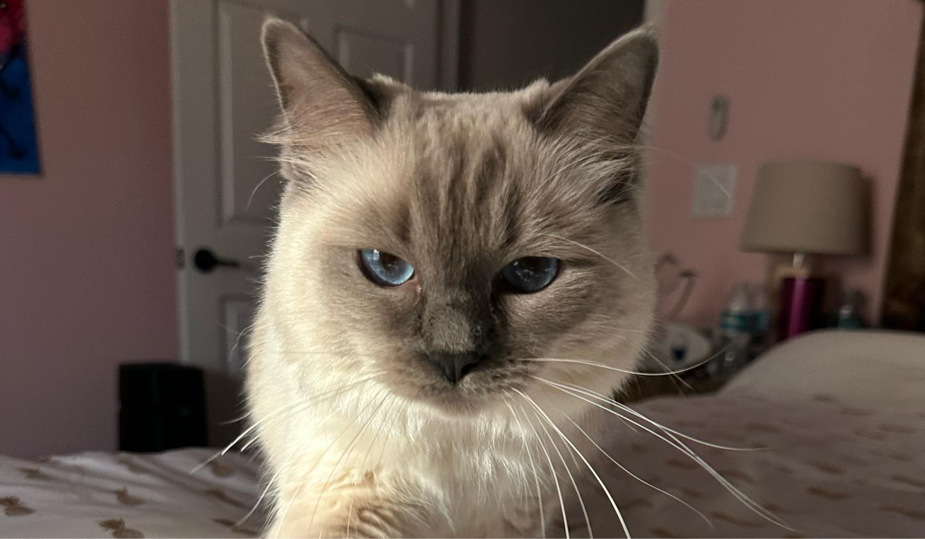 7346de66-6cd9-4d69-9201-19b84481cbfc