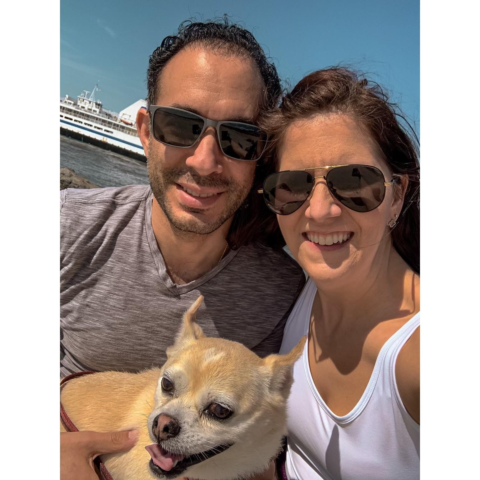 Cape May, NJ.  That's our dog Winston (sir Win-sta-lot)!  He is so happy to be on a beach!