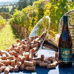 Bells Up Winery