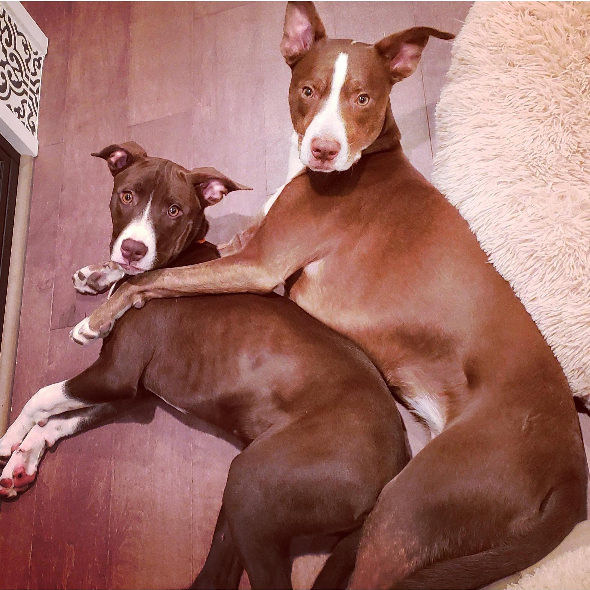 Our babies!