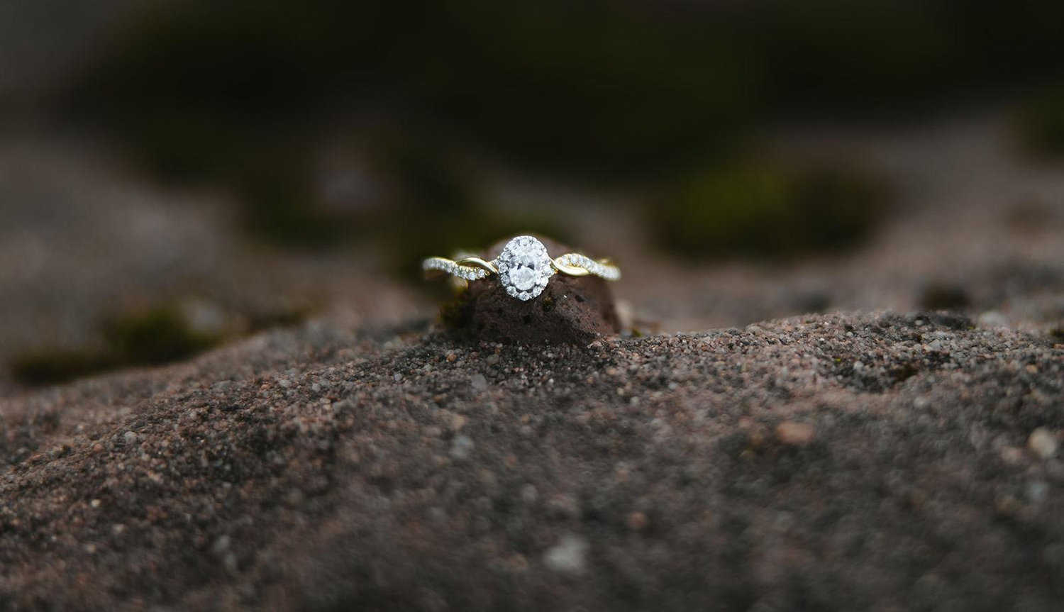 The Wedding Website of Bailey Mulcahy and Sunny Resnick