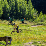 The Mountain Bike Center