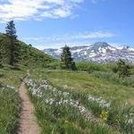Tahoe Rim Trail