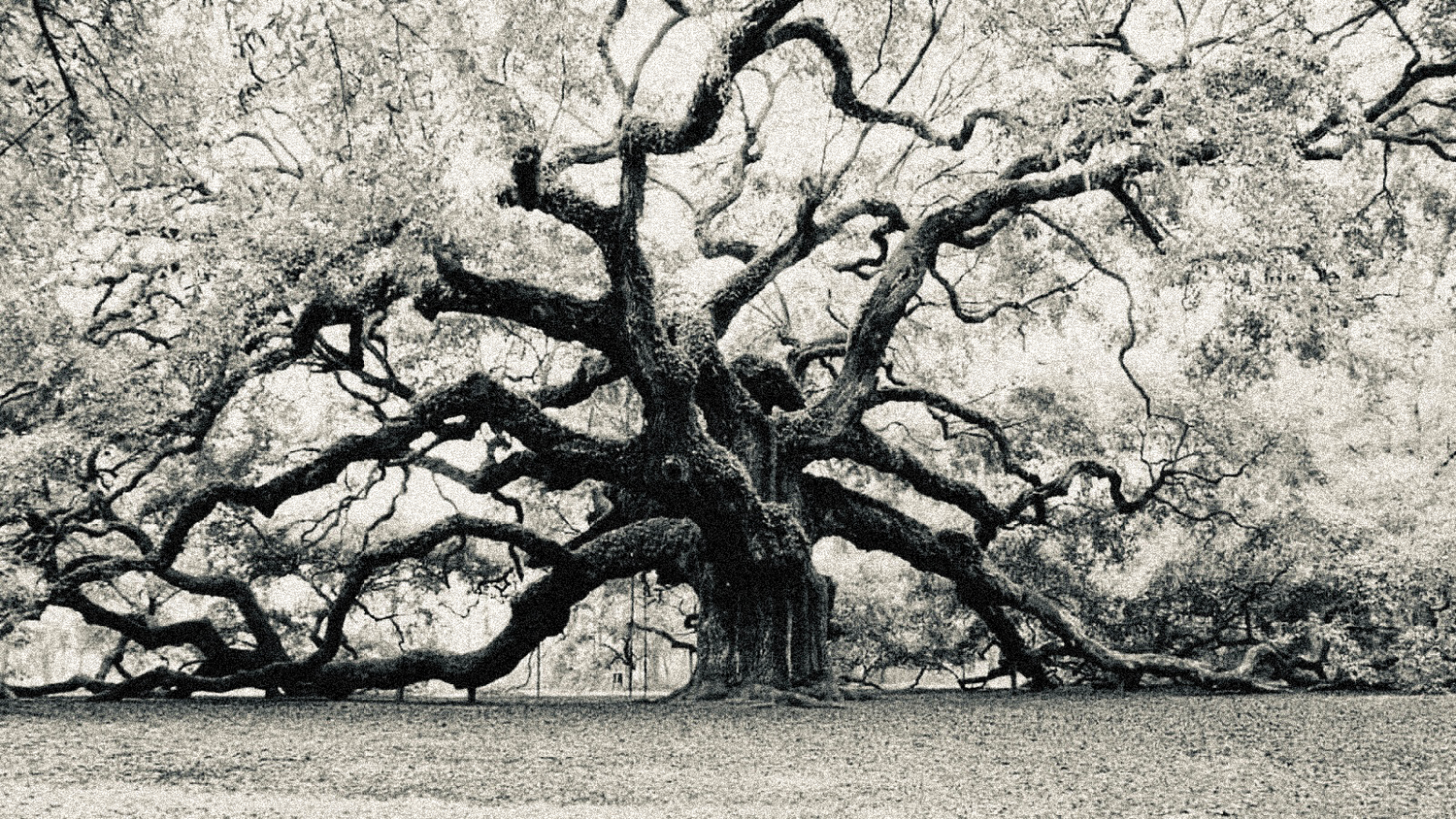 The Wedding Website of Emily Barry and Nathan Martin