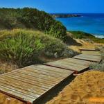 Lara Beach