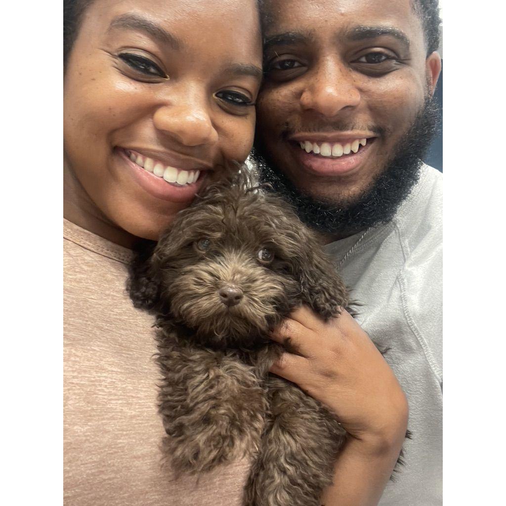 Destini and Robert add Kovu to the family!