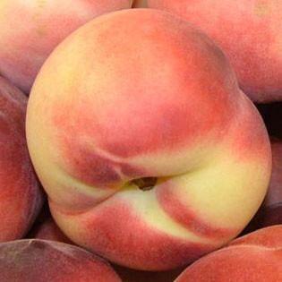Peach Garden Glory