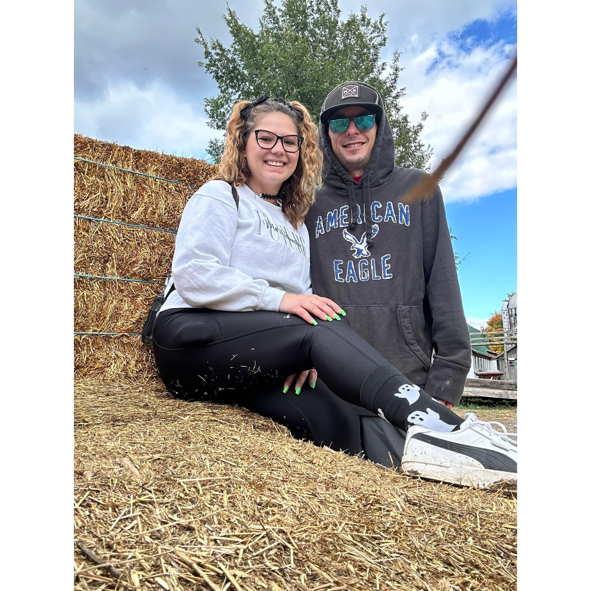Pumpkin Picking