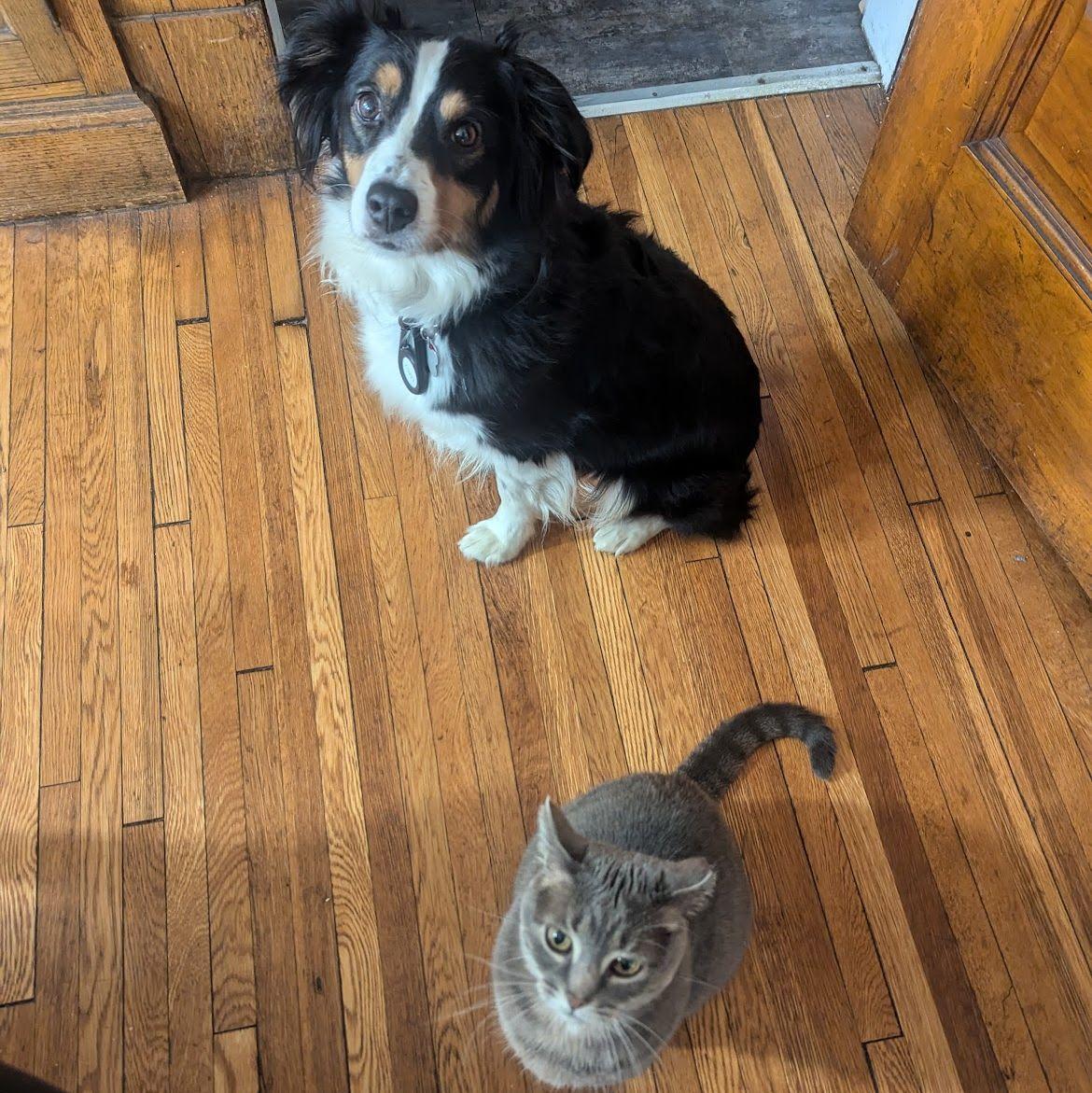 Lucy and Olive bond over egg.
