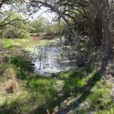 Charro Ranch Park