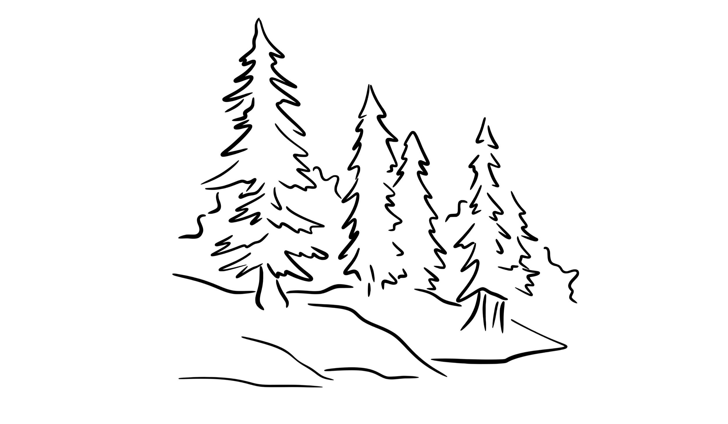 Footer image