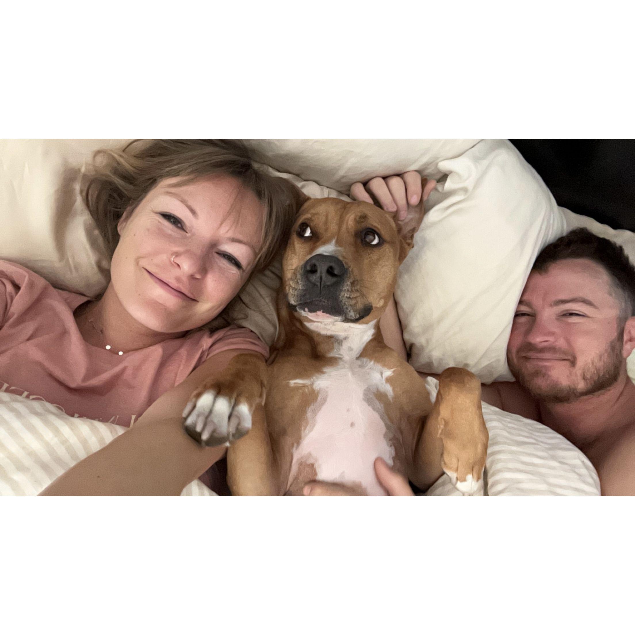 One big happy family