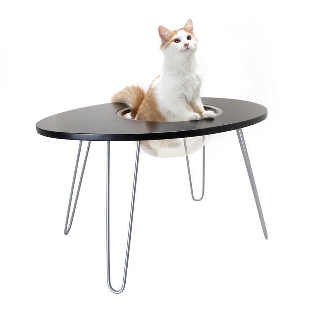HAUSPANTHER NestEgg Raised Cat Bed & Side Table, Black - Chewy.com