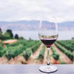 Wine Tasting