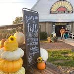 Johnson's Locust Hall Farm