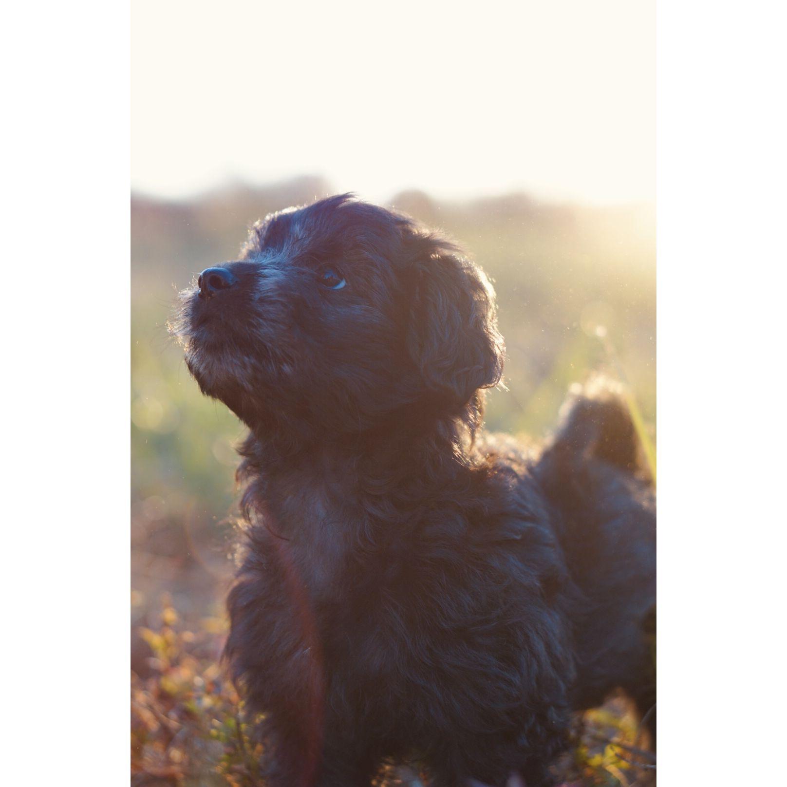 What a stud Remi is!