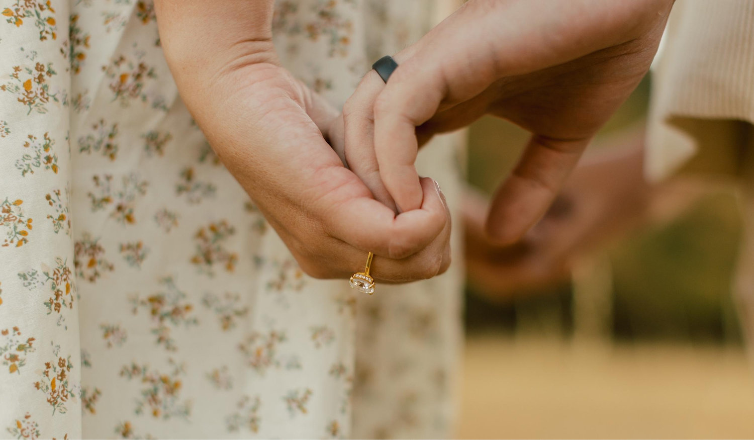 The Wedding Website of Jesse Michel and Michael Crandall