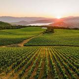 Napa Valley