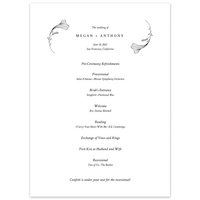 Program