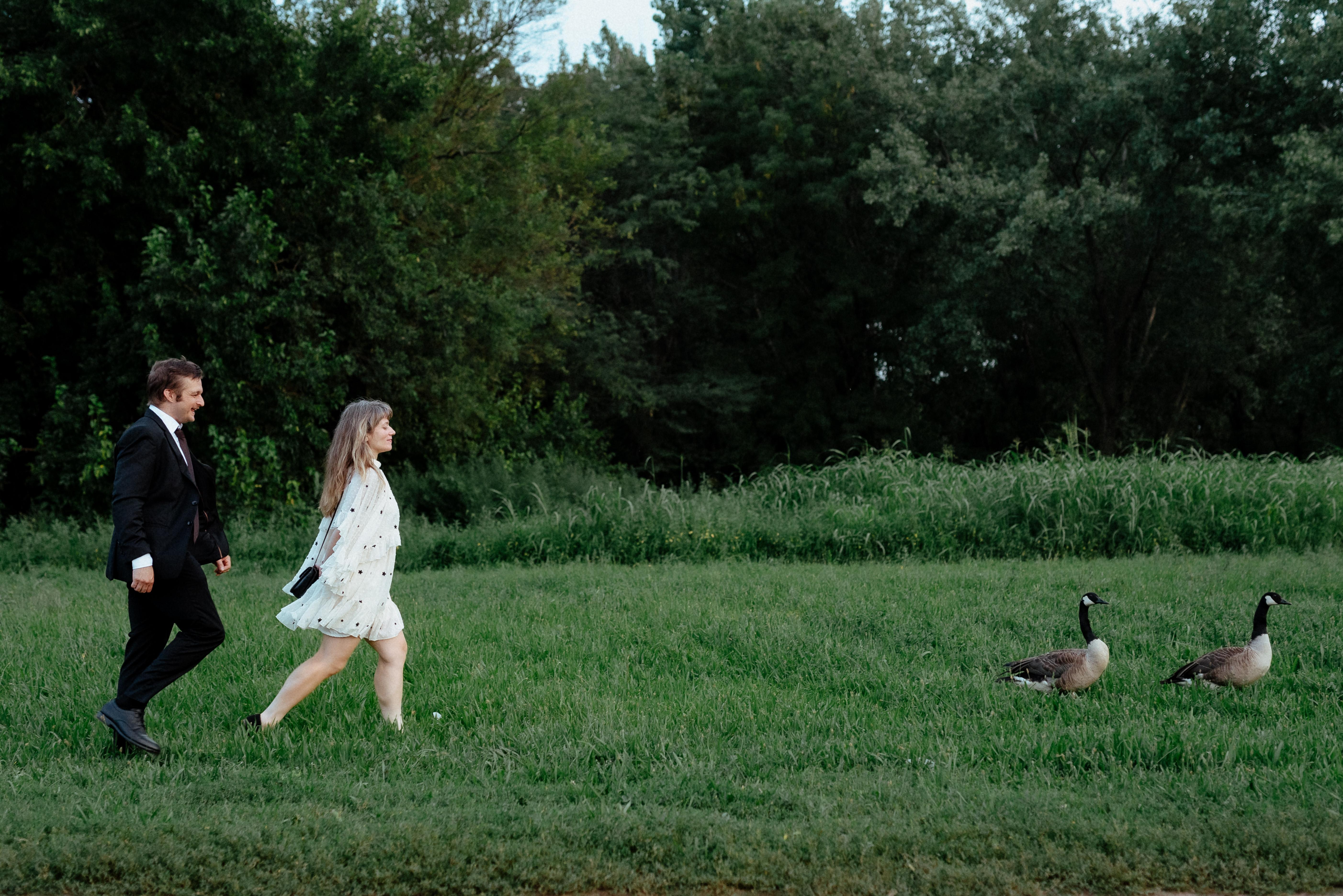 736337cc-84b9-4c53-aa9d-8c51ea84ba30