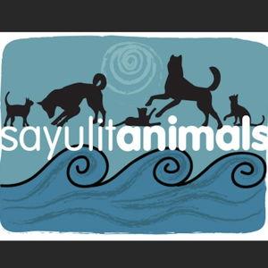 Sayulita Animal Rescue