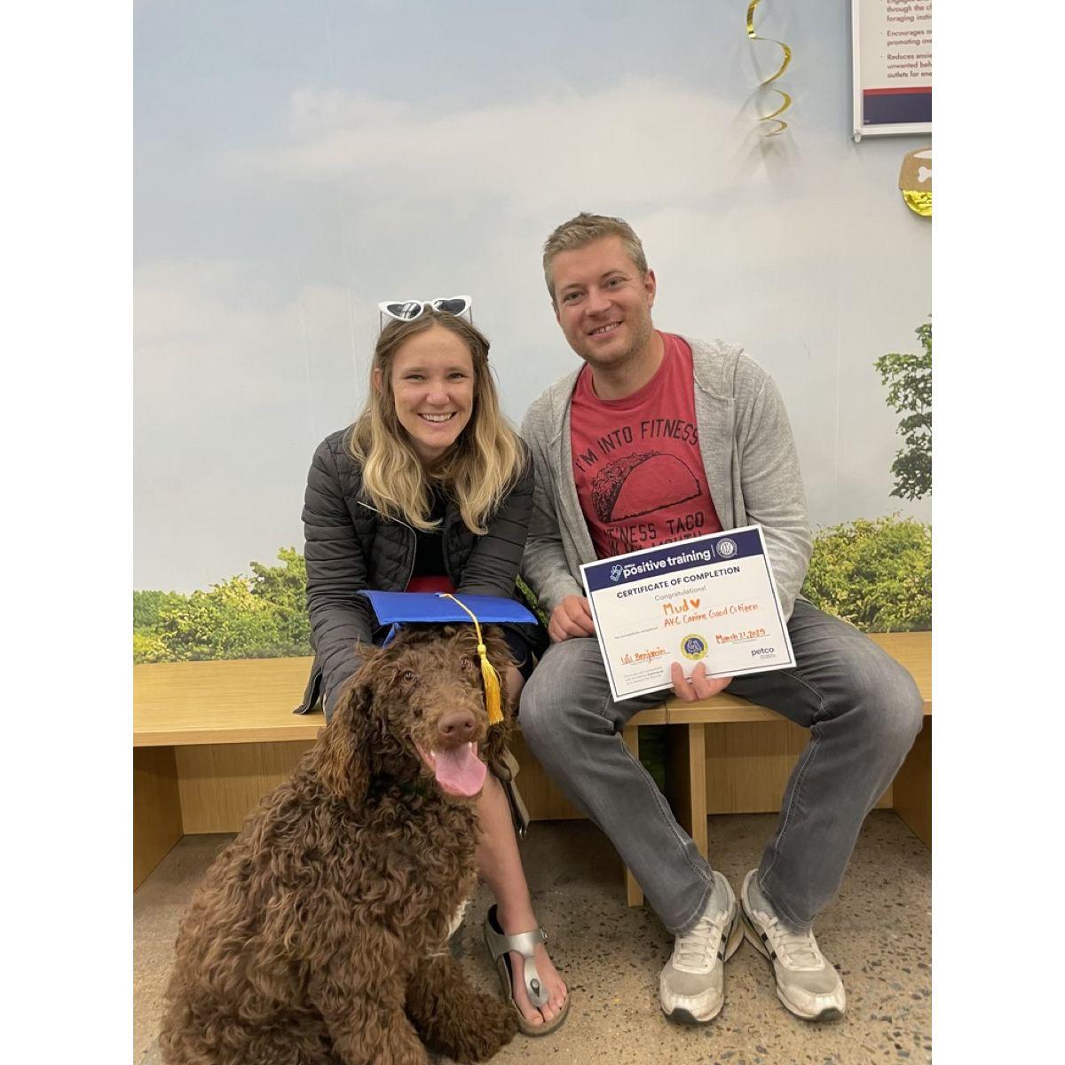 Our Poodle is officially a Canine Good Citizen! (Though he doesn't always act like it.)
