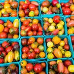 Downtown Appleton Farmer’s Market