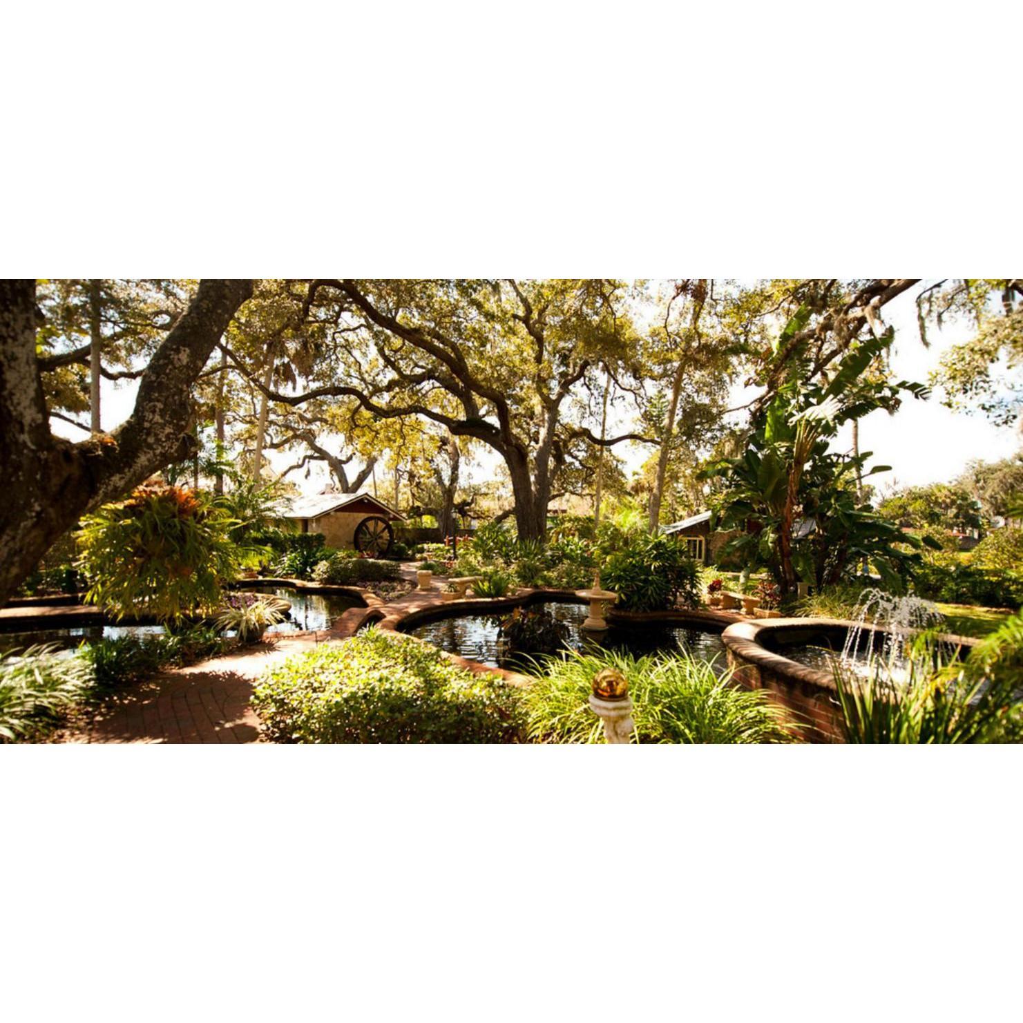 The Gardens