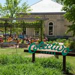 Colectivo Coffee Lakefront