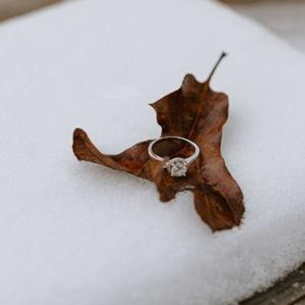 Newlywed Fund