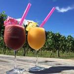 Arrigoni Winery