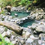 Cougar Reservoir Hot Springs