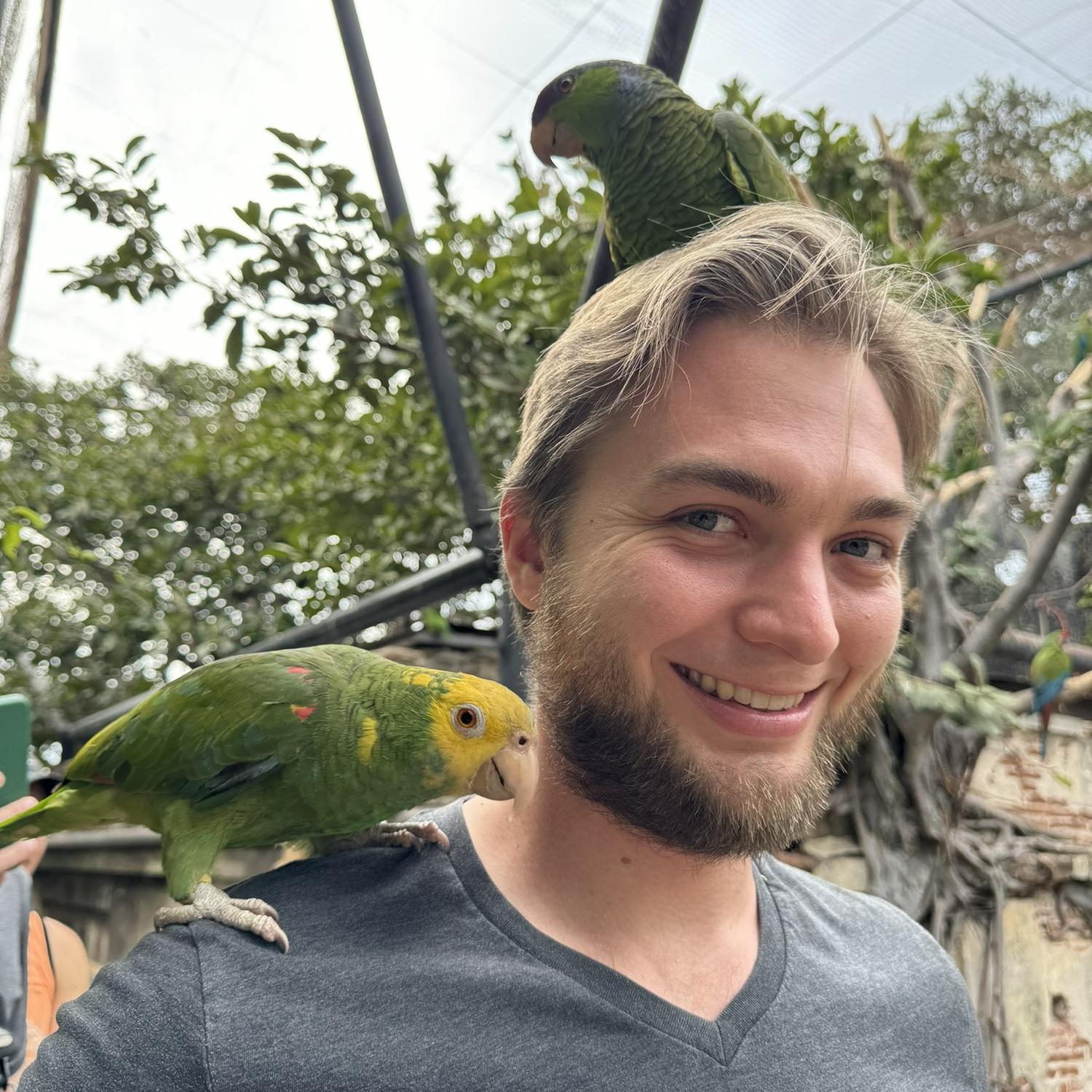 Mazatlán 2024 - Birdcage at the Observatory / aviario en el Observatorio