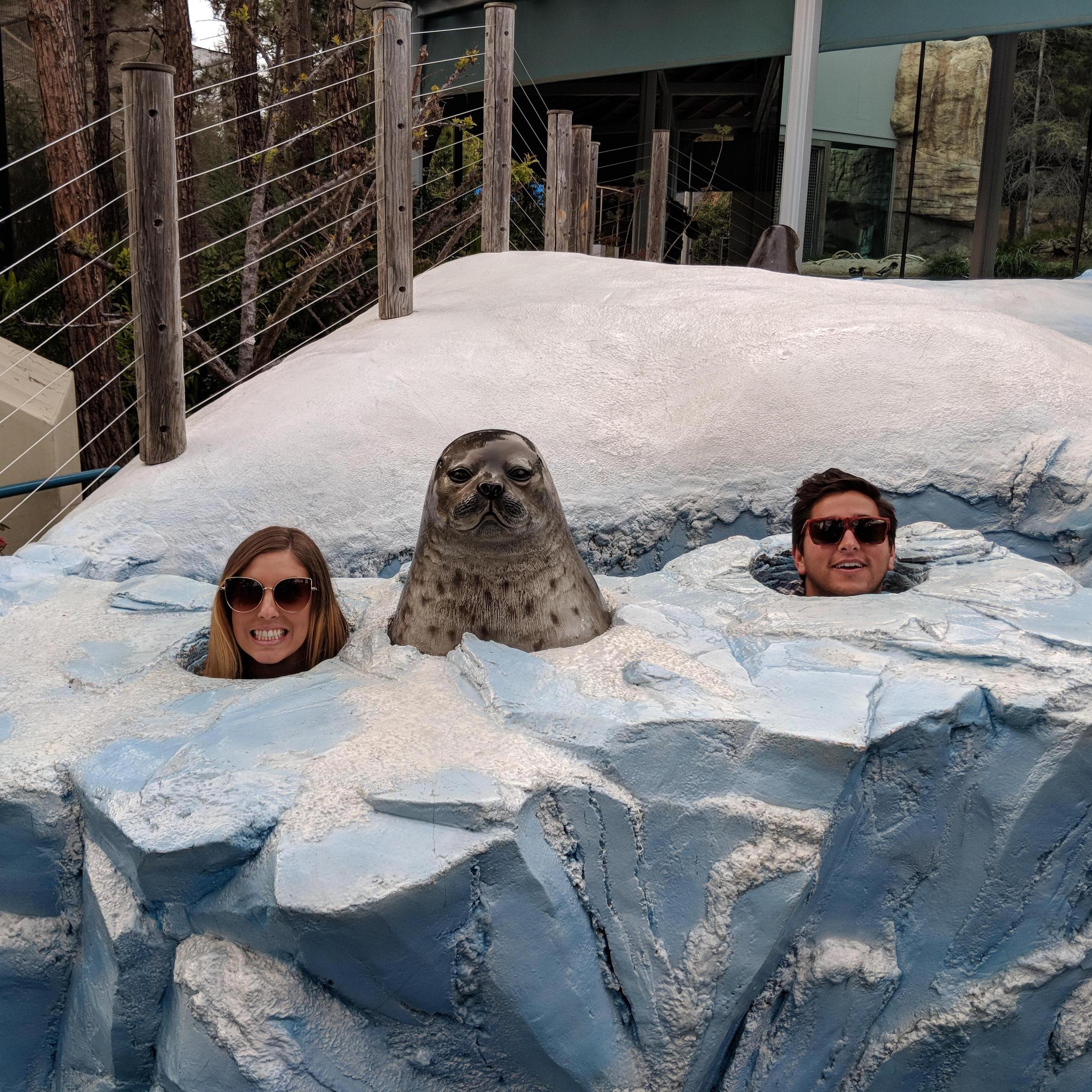 Just a couple seals hangin around
