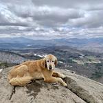 Stowe Pinnacle Hike