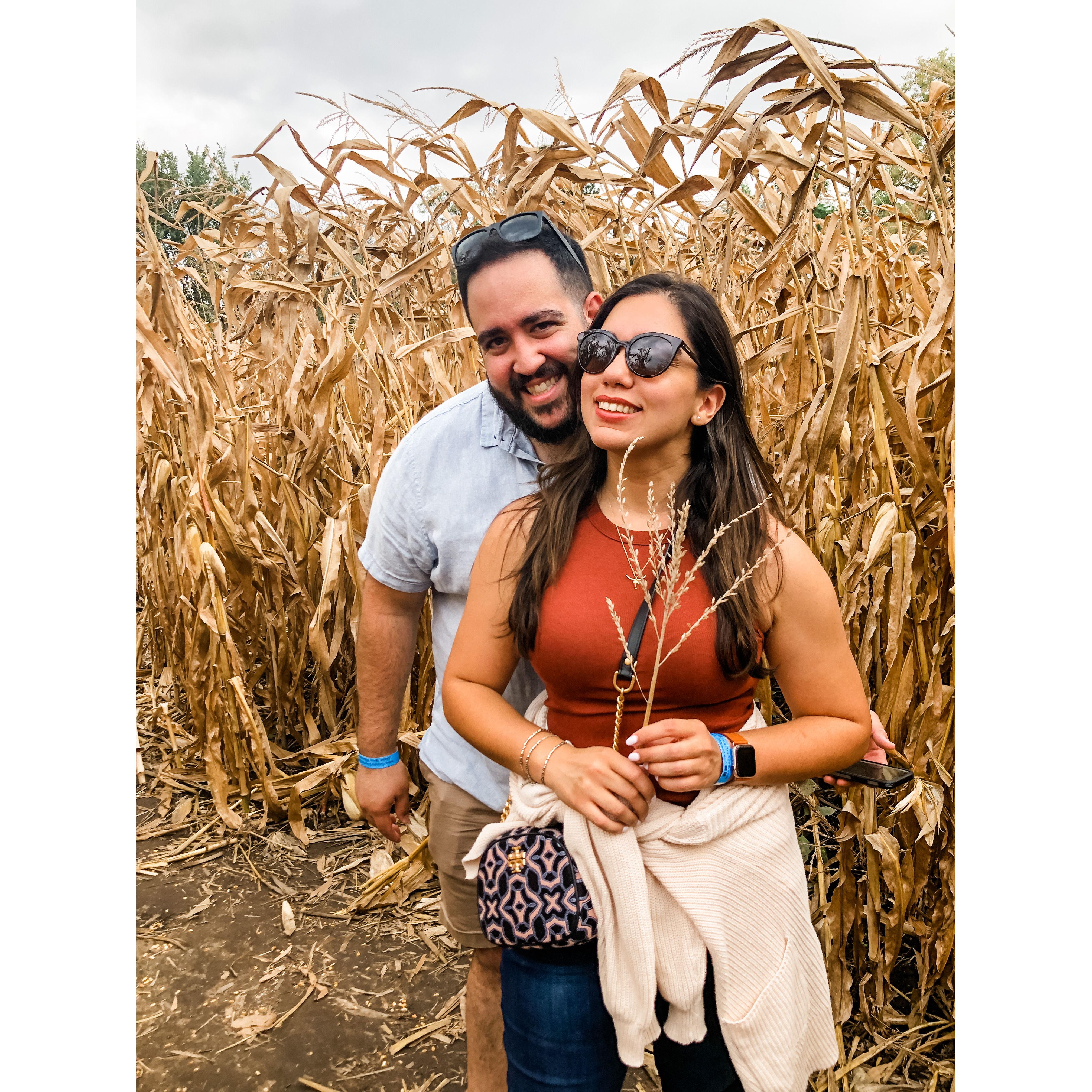 Apple picking and corn maze in Indiana