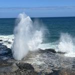 Spouting Horn Park