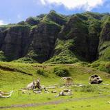 Kualoa Ranch (Jurassic Park)