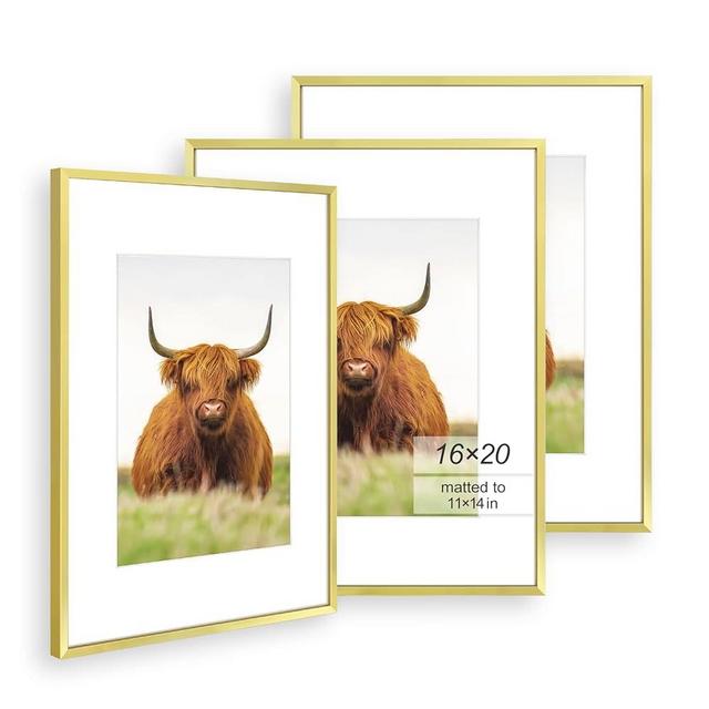 Golden State Art, 16x20 Picture Frame Set of 3, Gold Thin Border, Display Photo 11x14 with Mat or 16x20 Without Mat, Poster Frame for Wall Hanging Horizontal and Vertical