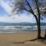Kings Beach