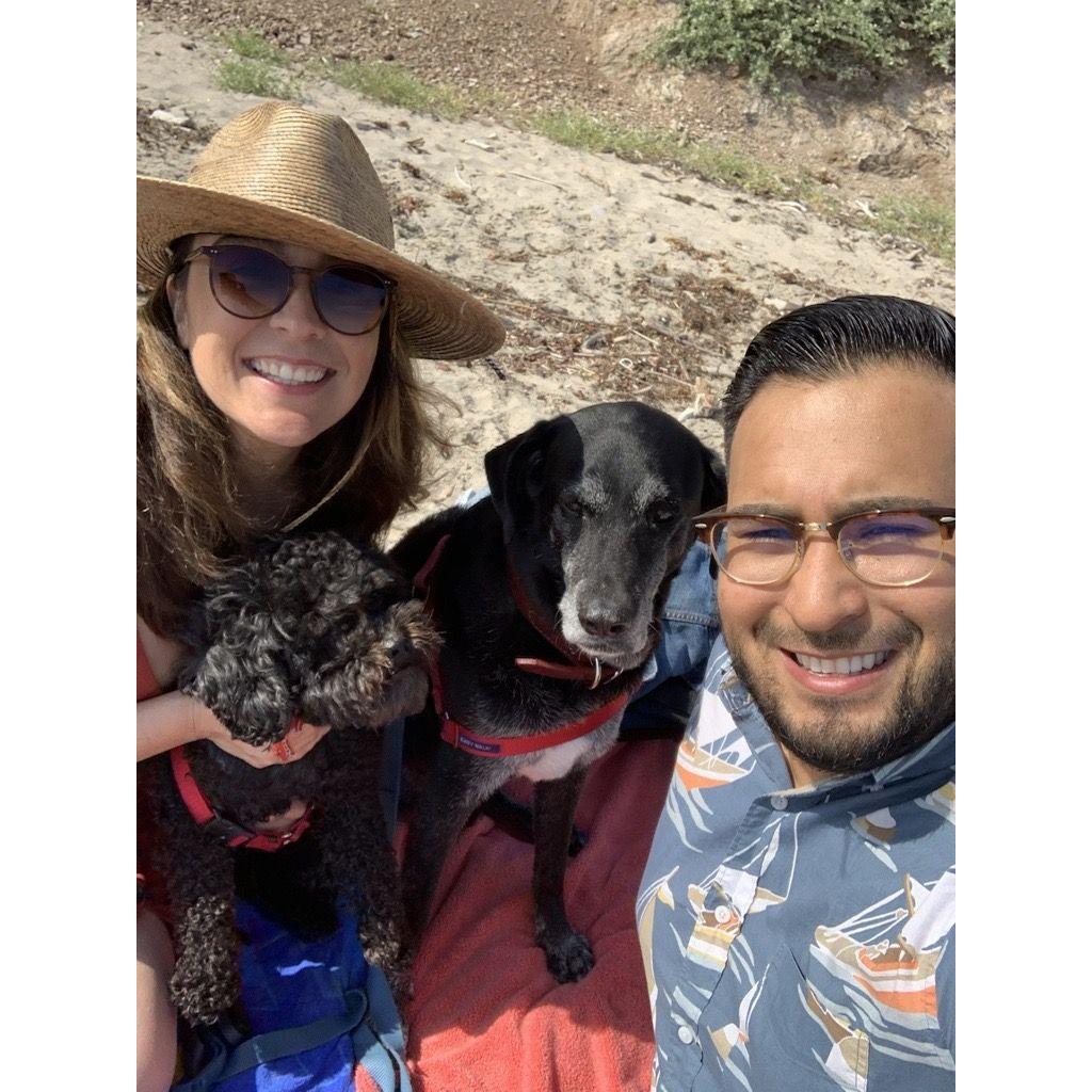 COVID trip to the dog beach