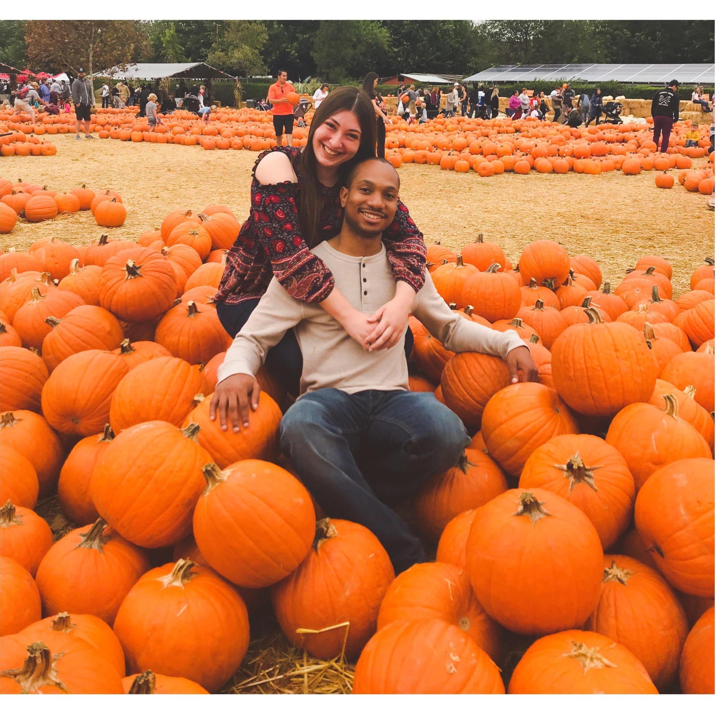 PUMPKIN PATCH