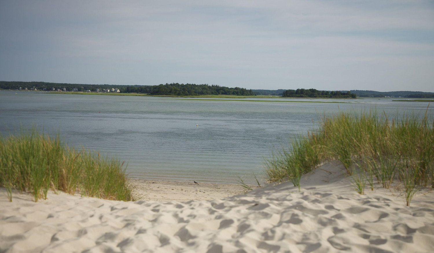 Footer image