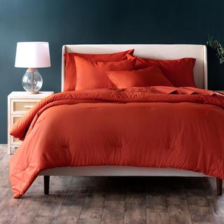 Teddy 300 Thread Count Cotton Percale 3-Piece Comforter Set