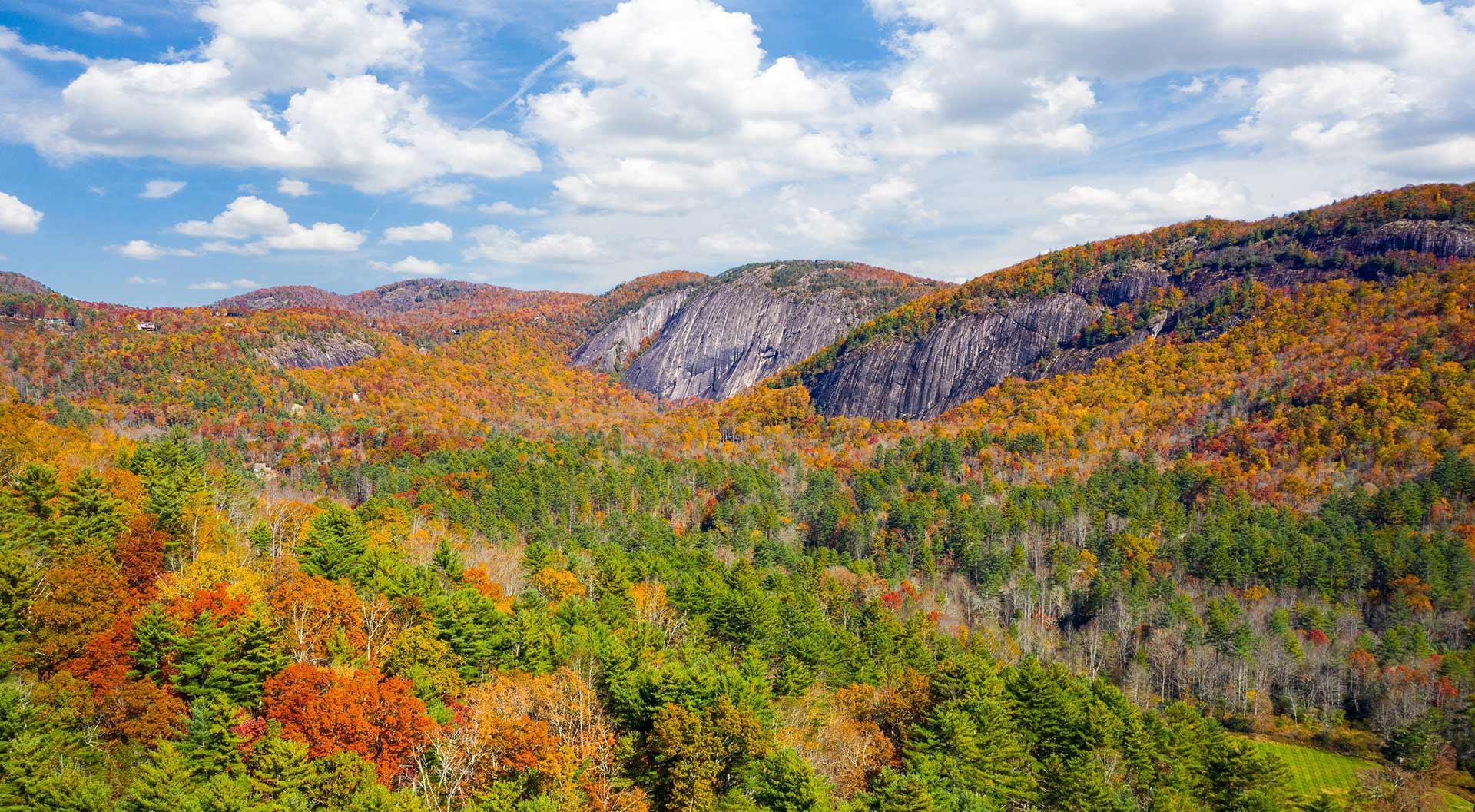 The Wedding Website of Libby Burroughs and David Gottesman