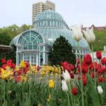 Brooklyn Botanical Garden