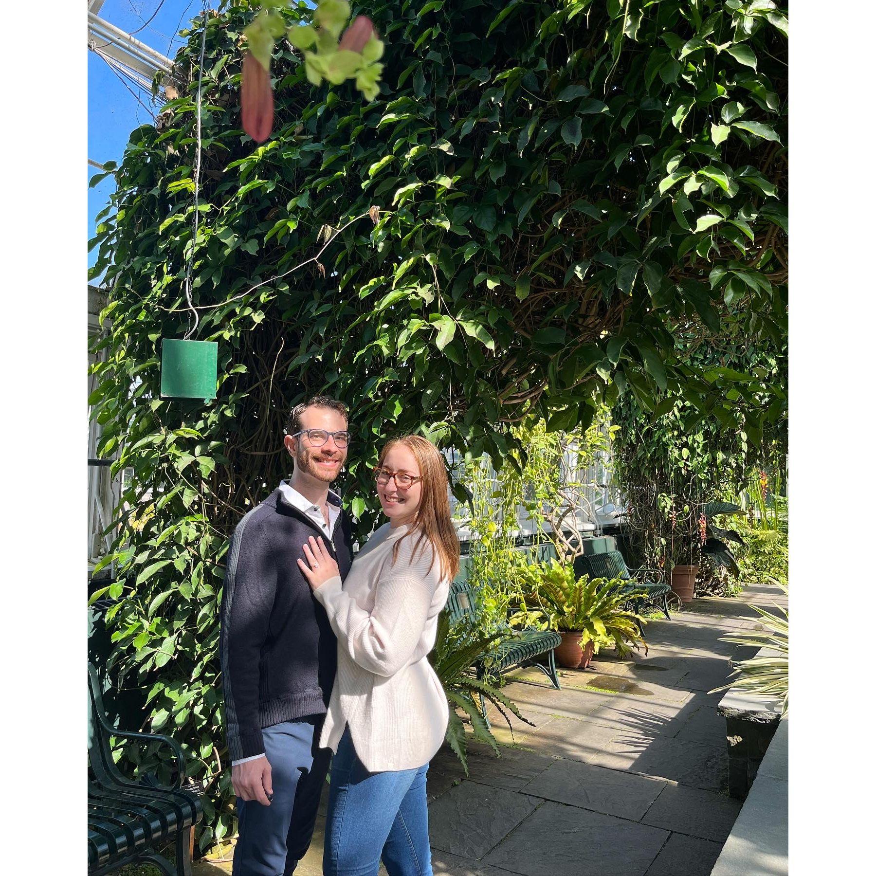 Engagement photo shoot