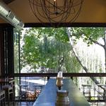Nektar Wine Bar